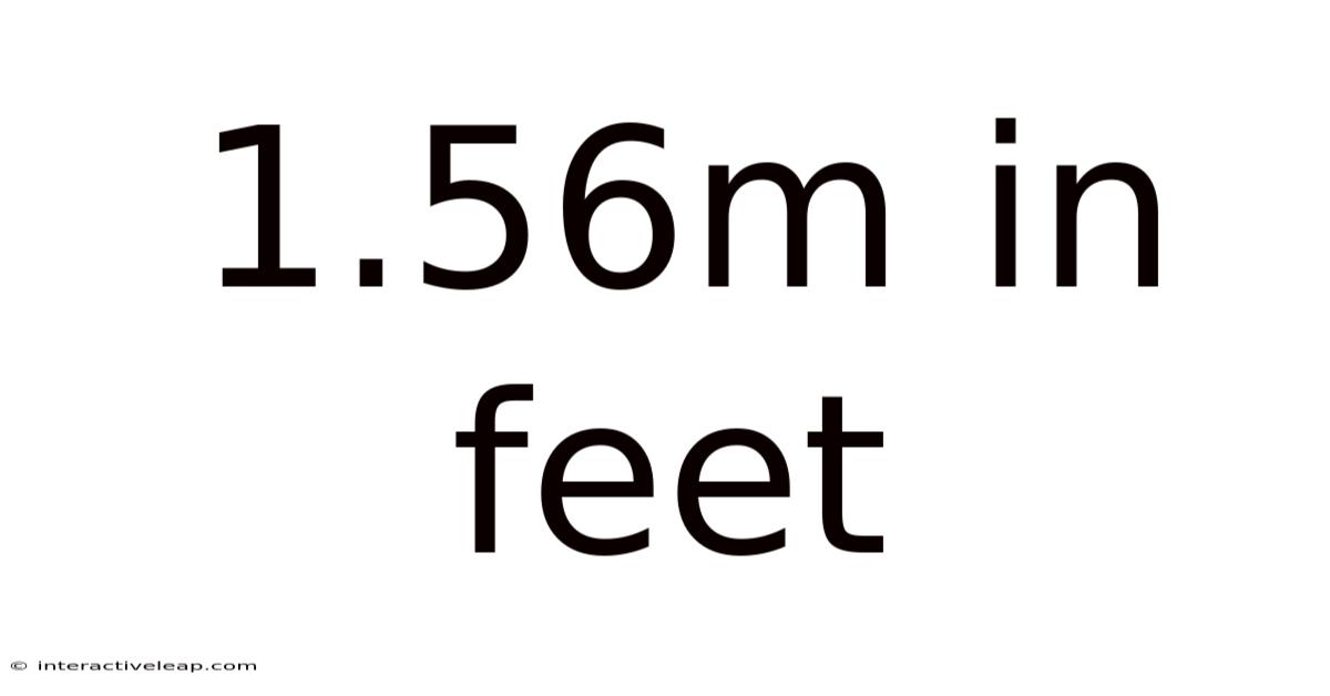 1.56m In Feet