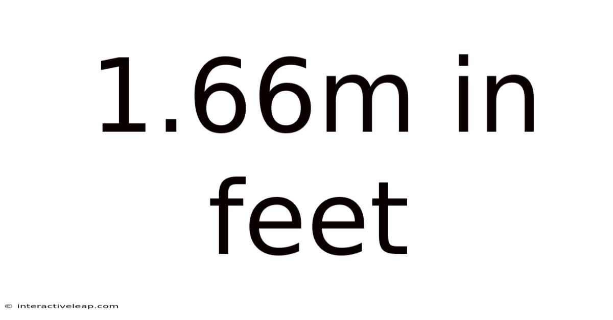 1.66m In Feet