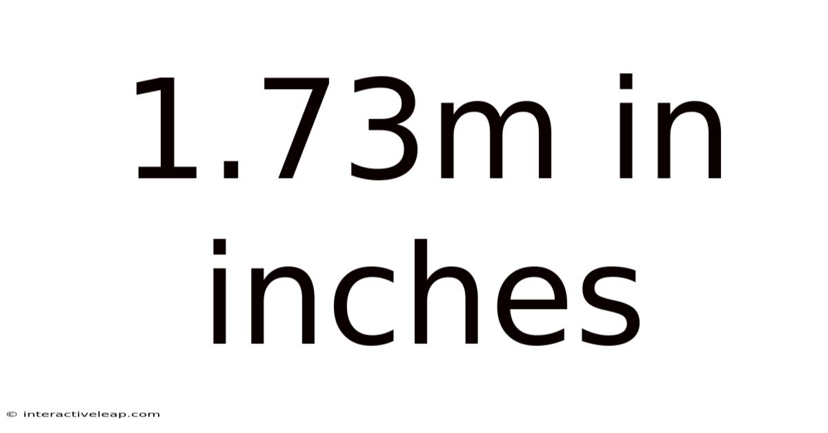 1.73m In Inches
