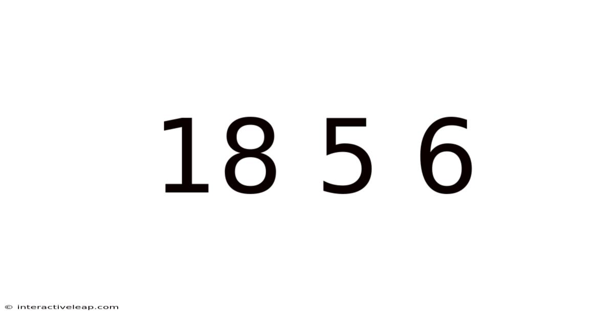 18 5 6