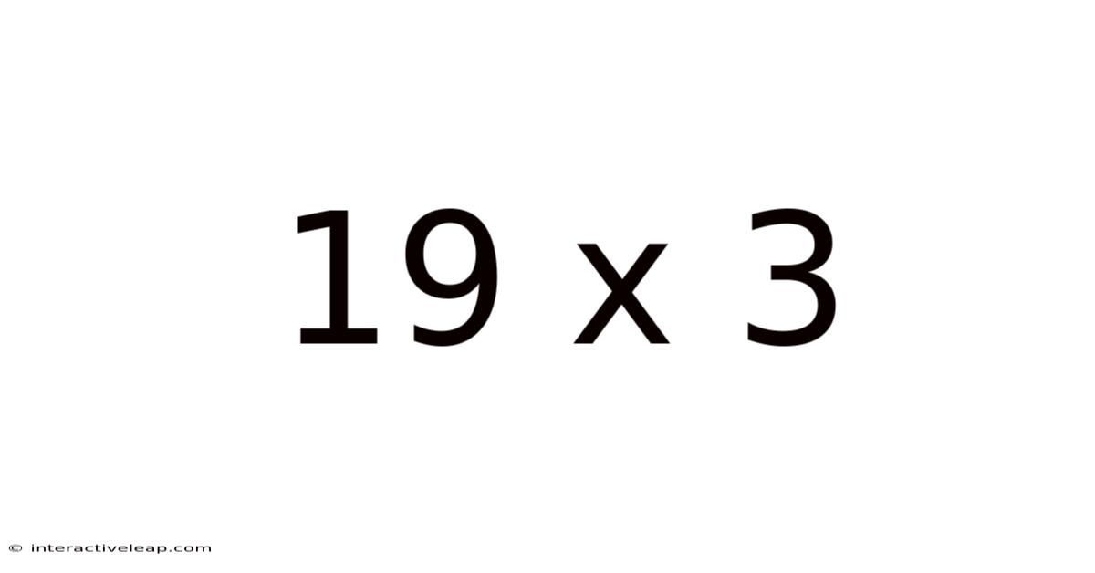 19 X 3