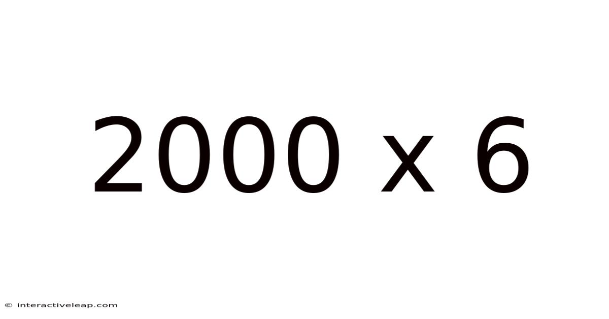 2000 X 6
