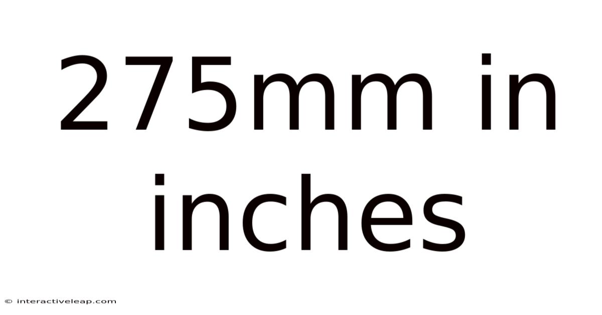 275mm In Inches