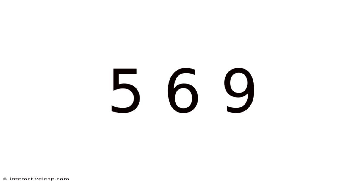 5 6 9