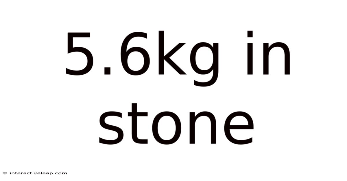 5.6kg In Stone
