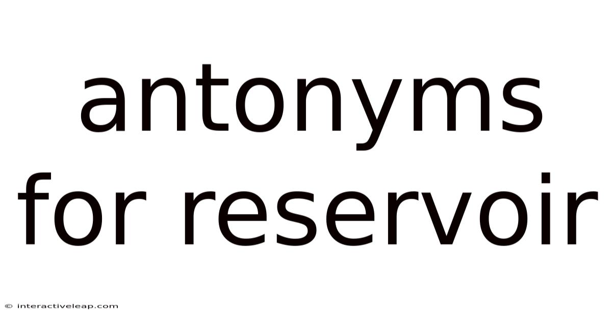Antonyms For Reservoir