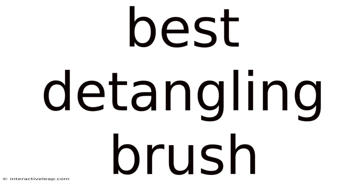 Best Detangling Brush