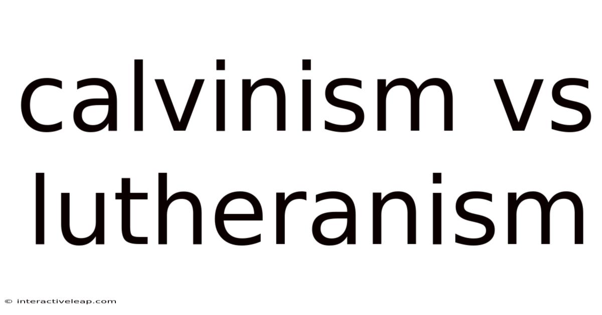 Calvinism Vs Lutheranism