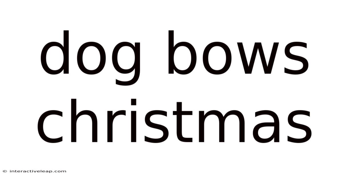 Dog Bows Christmas