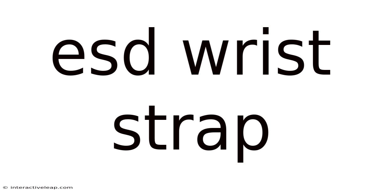 Esd Wrist Strap