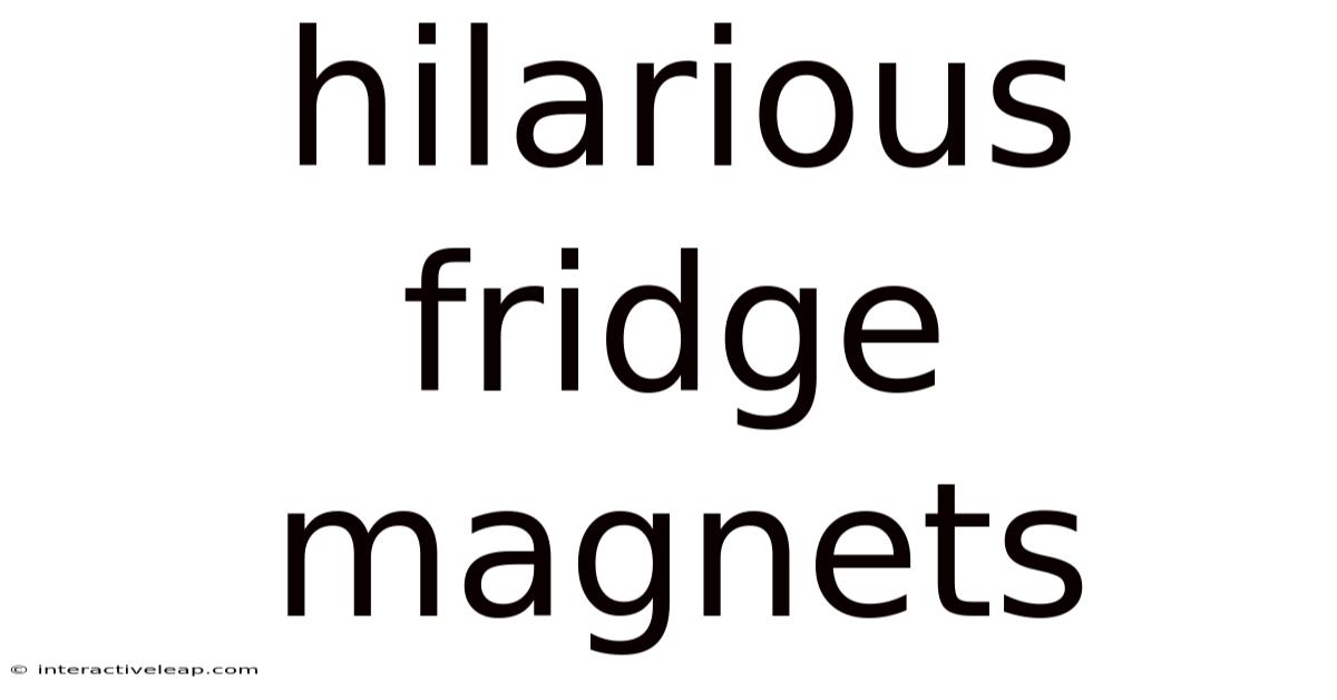 Hilarious Fridge Magnets