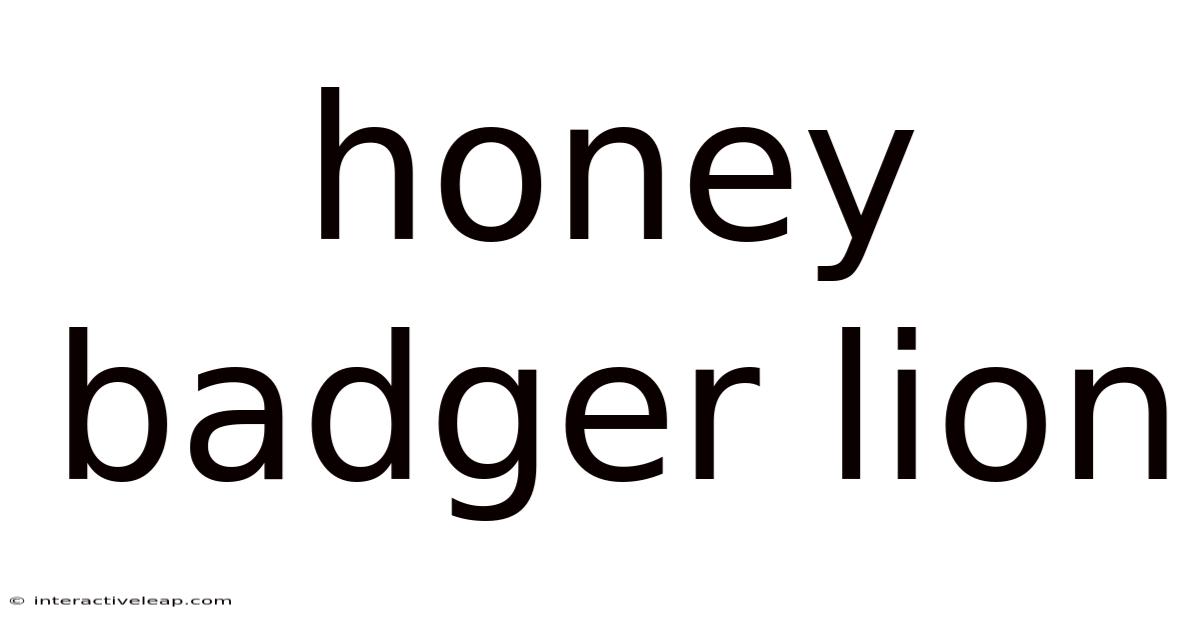 Honey Badger Lion