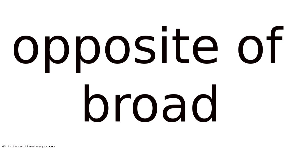 Opposite Of Broad