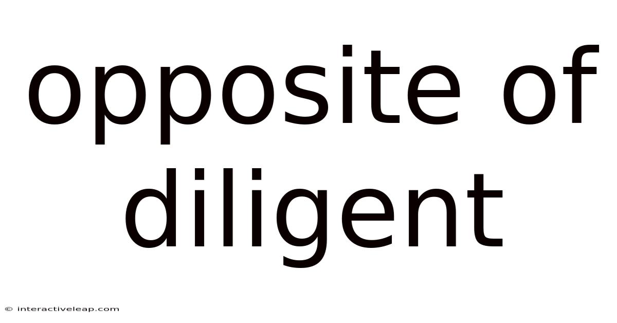 Opposite Of Diligent