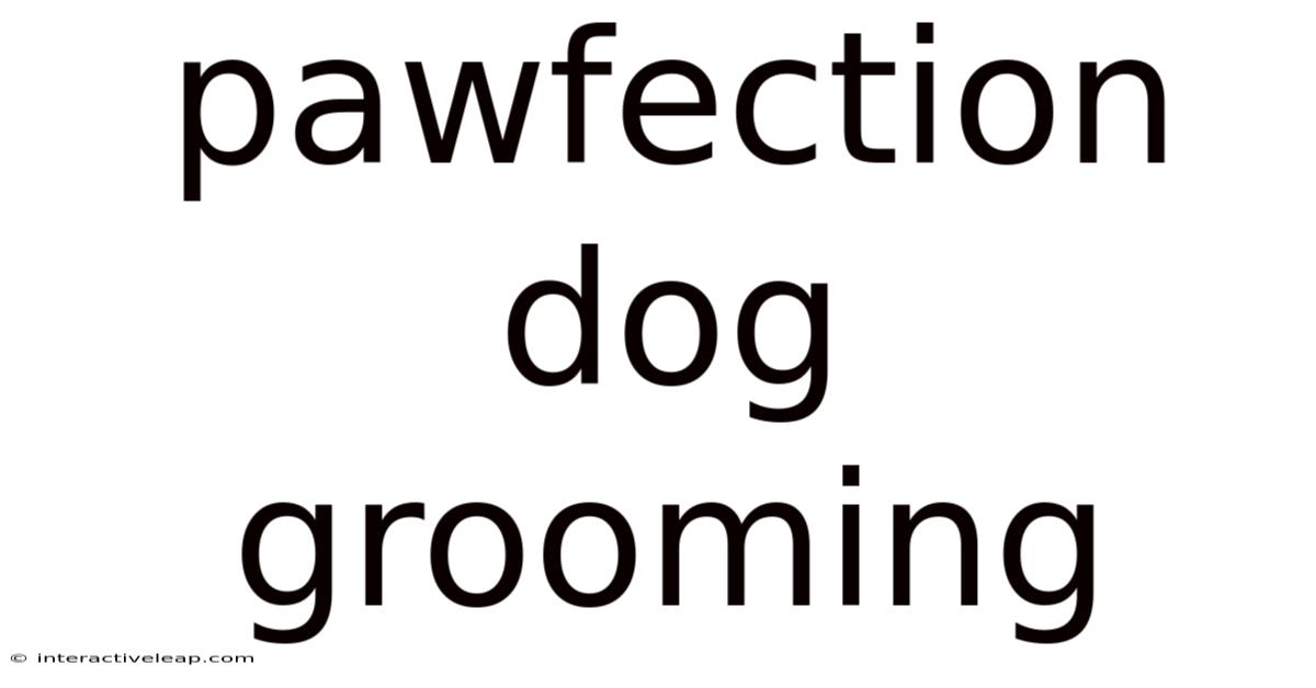 Pawfection Dog Grooming