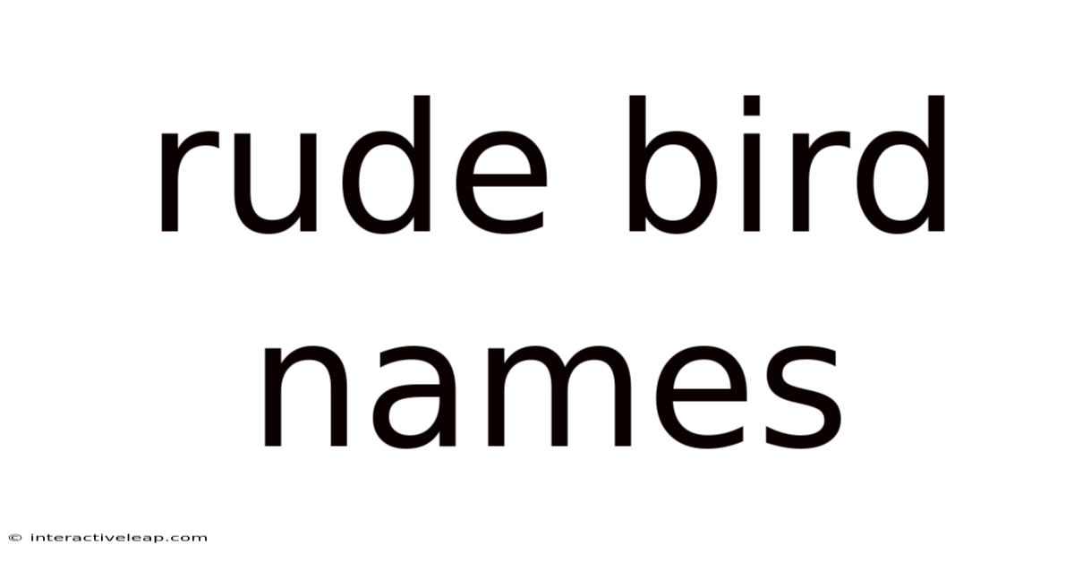 Rude Bird Names