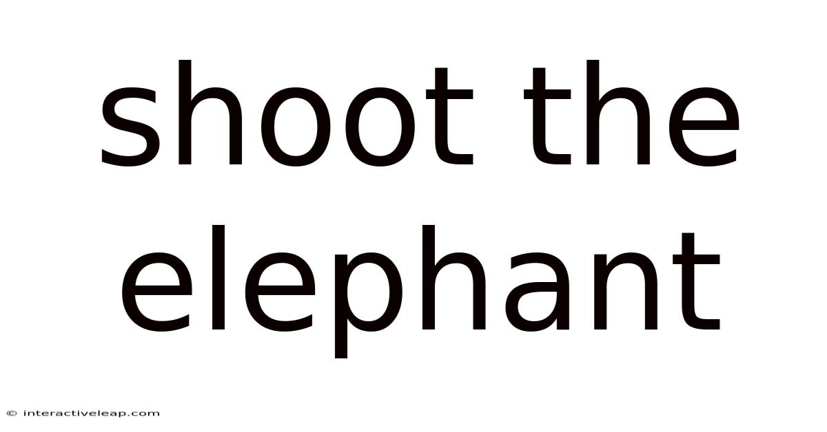 Shoot The Elephant