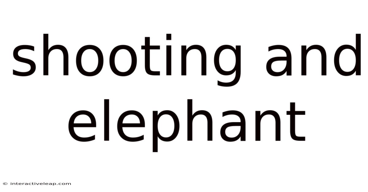 Shooting And Elephant