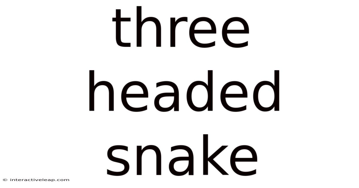 Three Headed Snake