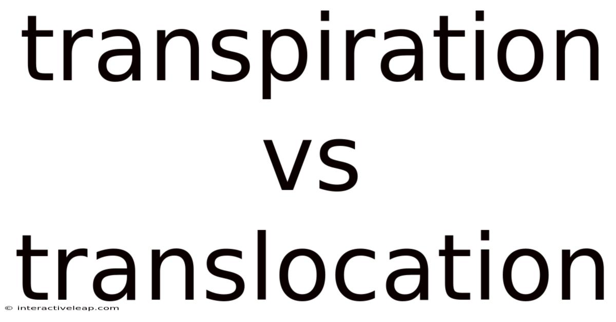 Transpiration Vs Translocation