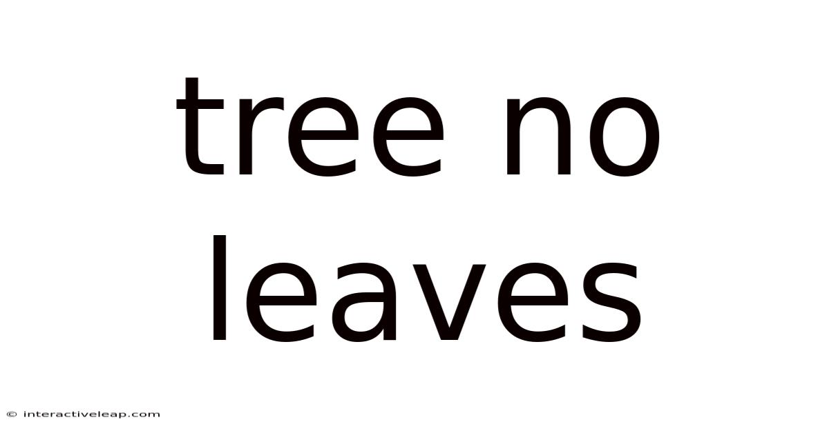 Tree No Leaves