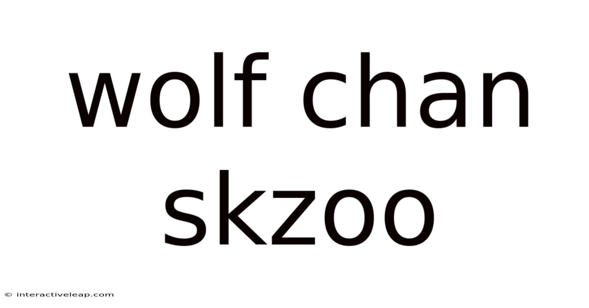 Wolf Chan Skzoo